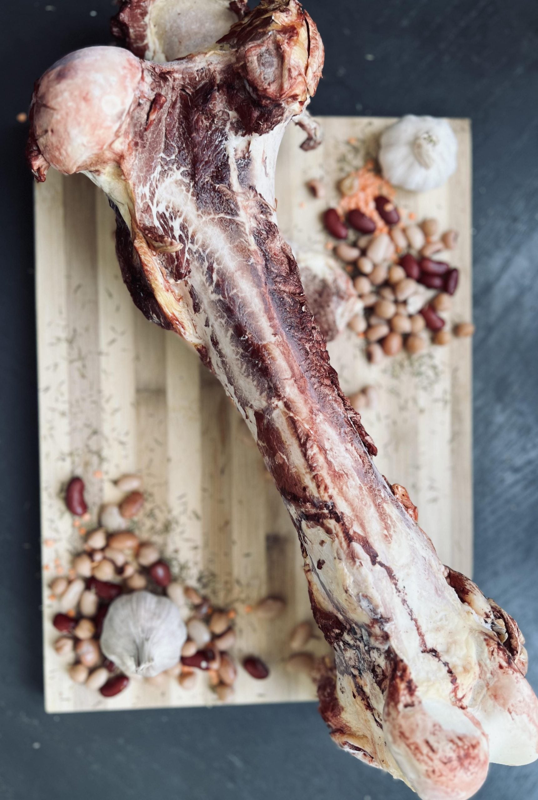 Dino Bone